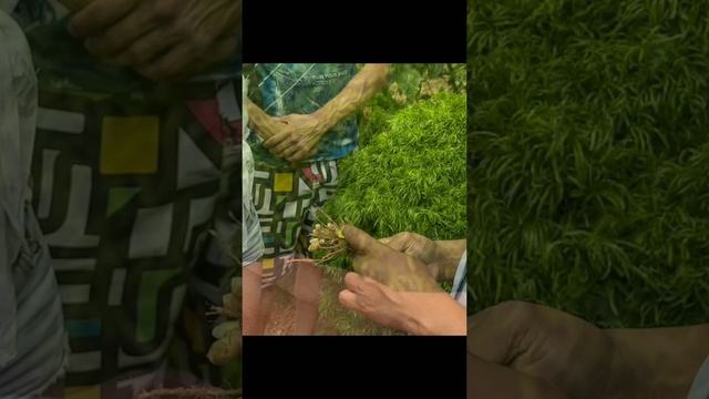 Омолаживающая маска из куркумы