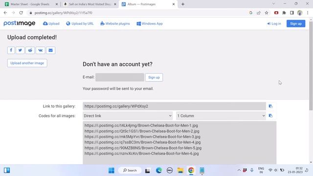 Create IMAGE Link in Bulk for Amazon and Flipkart | Image URL for Amazon and Flipkart