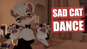 Sad Cat Dance  Meme