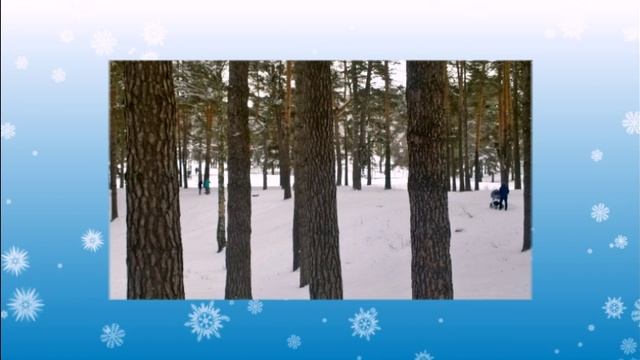 «Зимняя сказка»