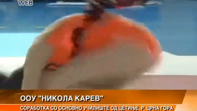 OOU NIKOLA KAREV VO SORABOTKA OS UCILISTE OD CETINJE смотреть онлайн