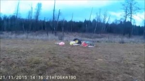 ИЖ 81 с коллиматорным прицелом