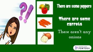 There are some/there aren't any