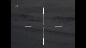 Ночная охота на хищника.