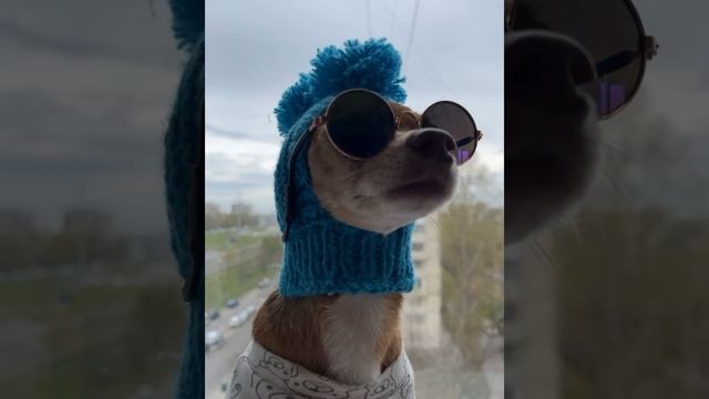 #планыналето