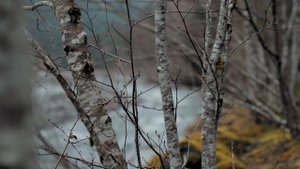 JACK SAVORETTI LOVE IS ON THE LINE (ALTA QUALIDADE) HD