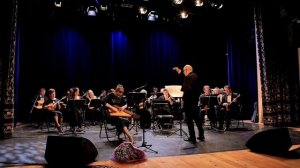 Ольга Васильева. Гусли. В. Маляров " Динь-Динь" #гусли