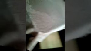 ШОК!!АГРО ШКОЛЬНИК ВОЗБУДИЛСЯ!!