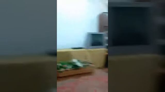 Песня весёлые нотки