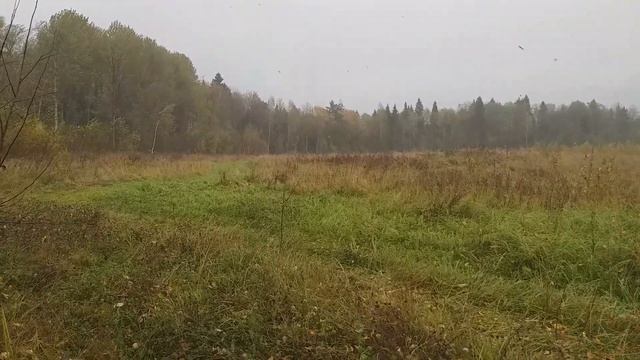 ПРОХОЖДЕНИЕ ШКВАЛА 6 ОКТЯБРЯ 2023. НАБЛЮДАЛАСЬ НЕБОЛЬШАЯ ГРОЗА. /ПОРЫВЫ ДО 20 М/С / осенний ШТОРМ