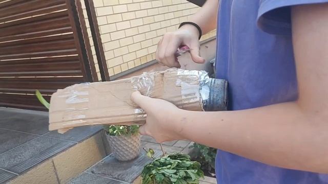 Посылочка с Приморья. Красота и вкуснота будет расти в саду и на домашних полочках