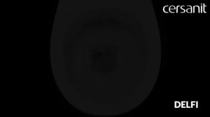 100%-ое омывание чаши унитаза DELFI.