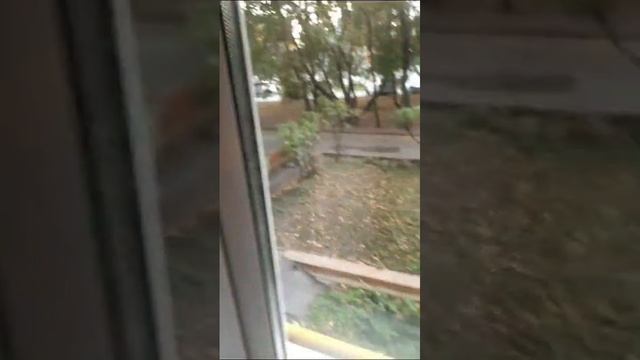 Пластиковые_окна.mp4