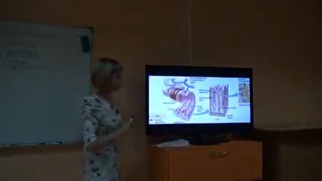 "ЗДОРОВЬЕ ПИЩЕВАРИТЕЛЬНОЙ СИСТЕМЫ" СТЕПАНОВА  М.