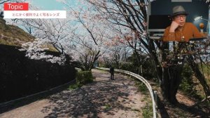 【新製品】NIKKOR Z 28-400mm f4-8 VRを使ってみた感想