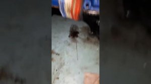 Установка креплений двигателя от ваз 2101-07 на переднеприводный двигатель.