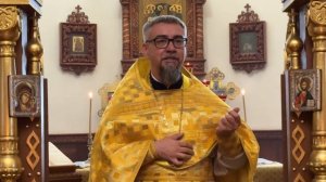 Проповедь в Неделю 16-ю по Пятидесятнице: о человечности и любви к врагам.