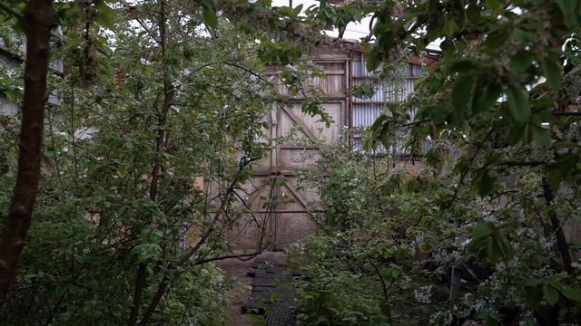 THEY GROW CHERRIES AND APPLES IN ICELAND! смотреть онлайн