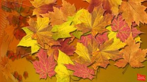 День рождения Нина