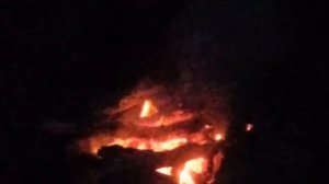 Капище Перуна Владивосток 2024.варган.костер и темнота