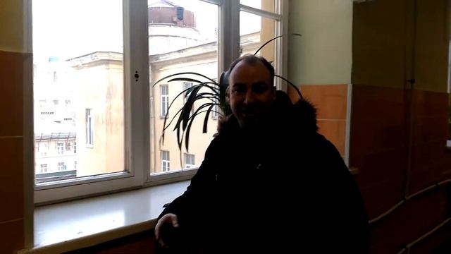 272 гимназия смотреть онлайн