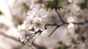 Волшебные правила Здоровья.
Неприязнь.