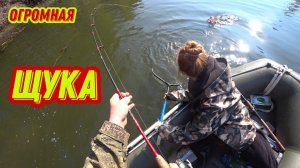 КАК ПОЙМАТЬ ЩУКУ В ОКТЯБРЕ? ЛОВЛЯ ЩУКИ ОСЕНЬЮ НА СПИННИНГ И КРУЖКИ. РЫБАЛКА 2024г.
