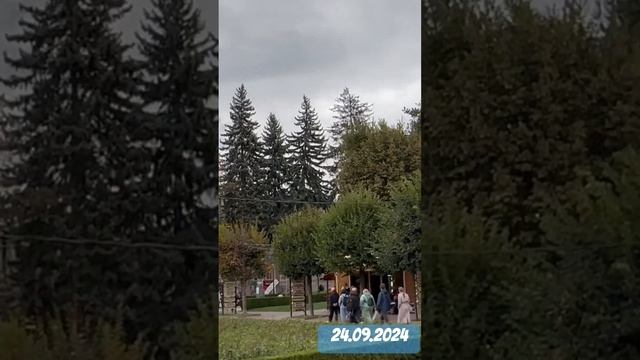Цветочный календарь в Кисловодске 24.09.2024 #кисловодск