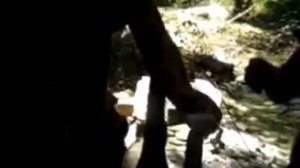 отдых в Геленджике