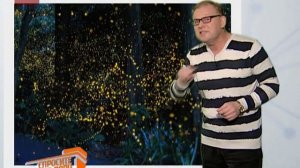 Спросите дядю Вову. Светлячки