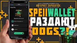 Spell Wallet начали раздавать DOGS_ Что же нам выпало из тех самых сундуков.
