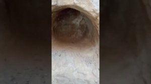 Построил землянку в лесу