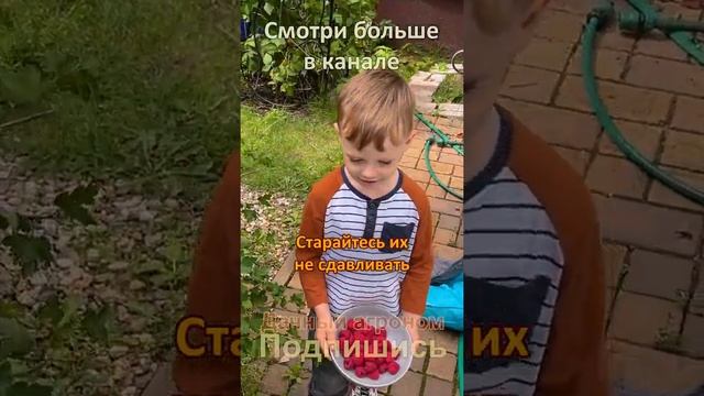 ЛУЧШИЙ вкус малины ПРОСТОЙ СЕКРЕТ