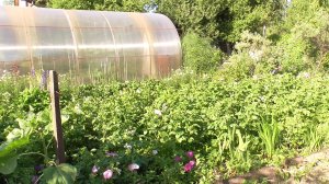 09 июля 2024 г. Обзор