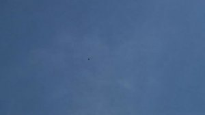 Финальный подъем голубей с красивым полётом