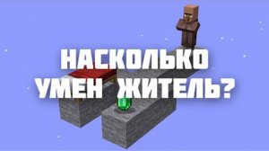 Насколько высокий интеллект у жителя в Майнкрафт?