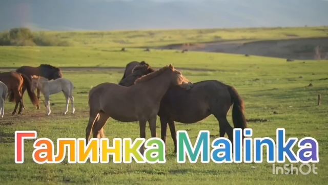 Ольга Быкова /Завралась вконец/Обзор Влогов /Мать-героиня /Леля Побируха /