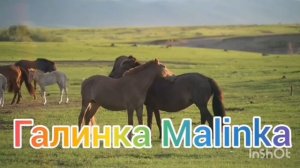 Ольга Быкова /Завралась вконец/Обзор Влогов /Мать-героиня /Леля Побируха /