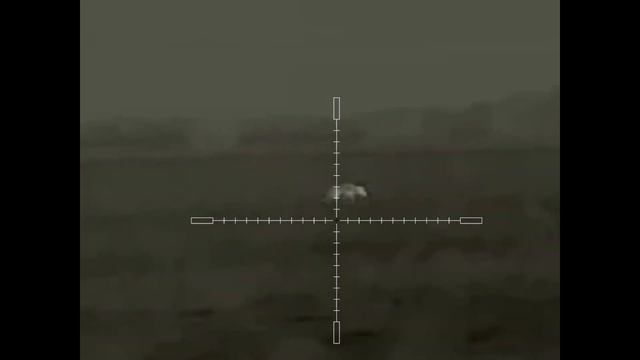 Шакалы пришли полакомится зайчатиной, но … смотреть онлайн