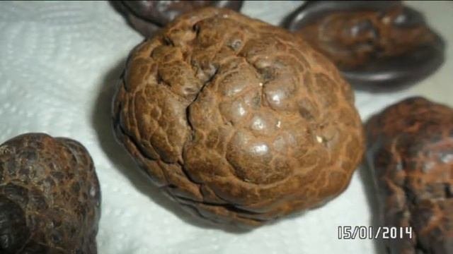 метеориты!