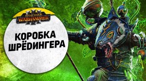 Коробка Шрёдингера| Катай vs Кислев + еще бои | Завоевание | Total War: WARHAMMER 3