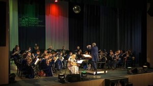 Ольга Васильева-гусли. Романс « Динь-Динь» #гусли