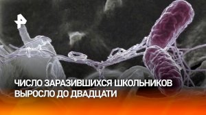 Число госпитализированных с отравлением школьников на Камчатке выросло до 20 / РЕН Новости