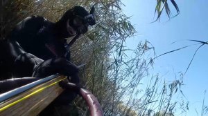 Подводная охота на малой реке с самодельным арбалетом осенью