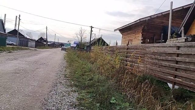 №3 | Тренировка, пытаюсь запретить в туалет во время бега. Тайсон | Шепски (метис хаски)