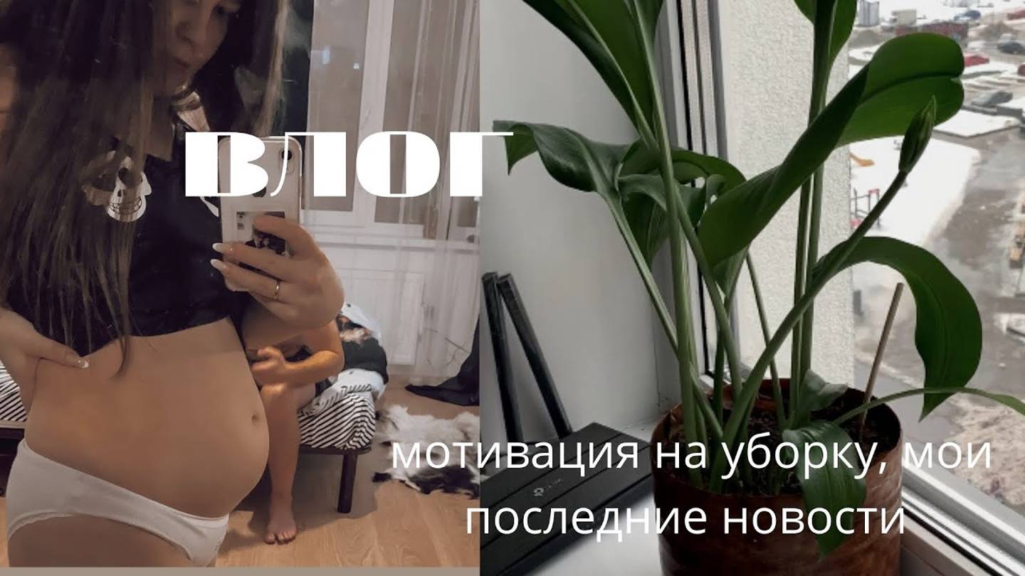 VLOG|последние новости|мотивация на уборку