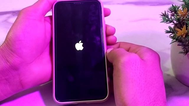 How To Fix Iphone Green Screen Issue 2024 || How To Solve Green Screen Problem On Iphone