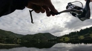 Накопал ЧЕРВЯ под КАМНЕМ и ВСЁ ЗАКРУТИЛОСЬ.Окунь на заброс +ЩУКА! Рыбалка в Норвегии на озере.