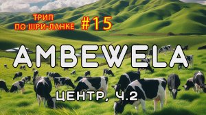 Молочная ферма Амбевела. Центр Шри-Ланки, часть 2. Трип по Шри-Ланке #15