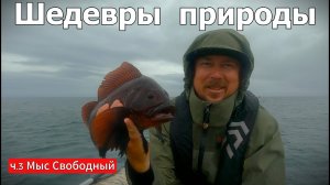 Рыболовный рай! Сахалин!